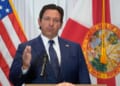 Anti-ICE Florida Woman 'Finds Out' After Alleged Assault on Trooper, Ron DeSantis Has Perfect Response – RedState