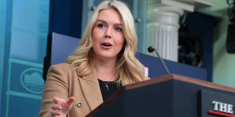 'Anyone in Their Right Mind' Knows Men Can't Get Pregnant