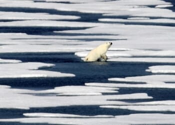 Danish Officials Now Betting on U.S. Cooperation Over Greenland – RedState