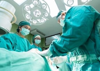 (Image by Sasin Tipchai from Pixabay)