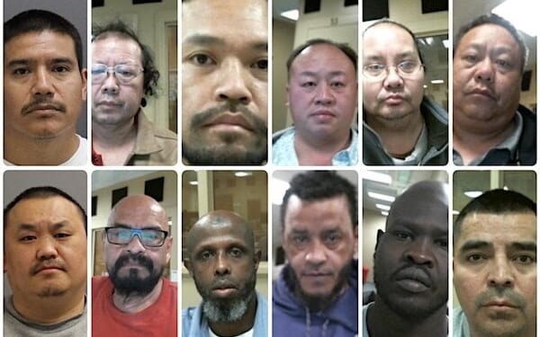 Mugshots released by ICE show some of the most dangerous criminal illegal aliens arrested during a recent enforcement surge in Minnesota (Courtesy ICE)