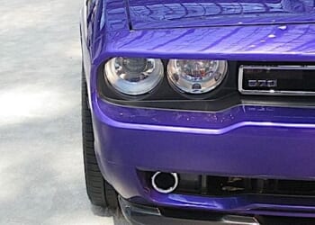 (Image by PublicDomainPictures from Pixabay)