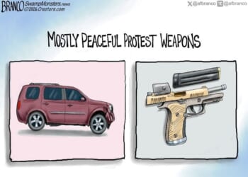 Mostly peaceful weapons * WorldNetDaily * by A.F. Branco