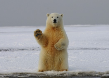 New Study Shocks Experts – RedState