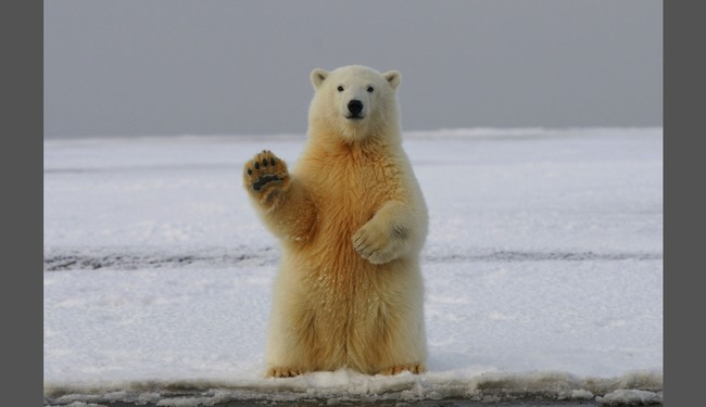 New Study Shocks Experts – RedState