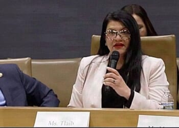Rashida Tlaib blows gasket over 'neo-Nazi' DHS recruitment post * WorldNetDaily * by Sean Hustedde, Daily Caller News Foundation