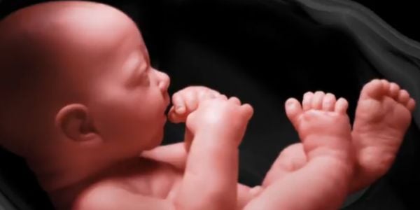 Reflections on the anniversary of Roe v. Wade * WorldNetDaily * by Jerry Newcombe