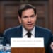 Rubio Lights Up Dems During Venezuela Hearing As Protester Goes Down to Brutal Defeat – RedState