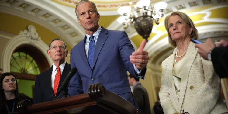 Senate Races to Decide ICE Funding