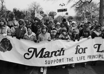 The Early, Ideological Diversity of the Pro-Life Movement