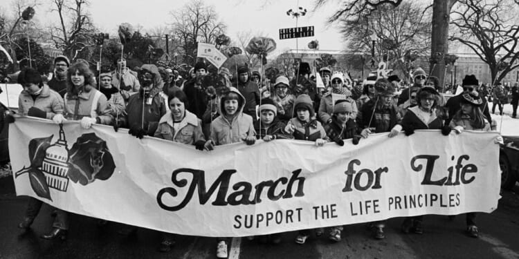 The Early, Ideological Diversity of the Pro-Life Movement