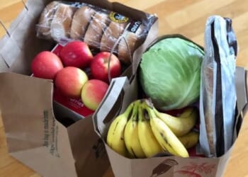 The GOP plan to make America affordable again * WorldNetDaily * by Tarren Bragdon, Real Clear Wire