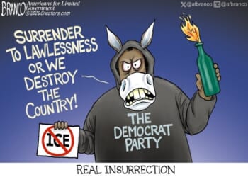 The Mobocrat Party * WorldNetDaily * by A.F. Branco