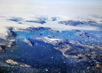 'We Don't Want to Be Americans' – RedState