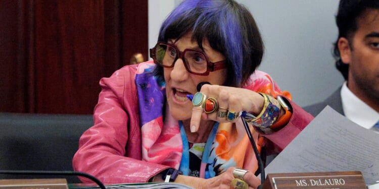 Will Congress Find a Way to Fund ICE?