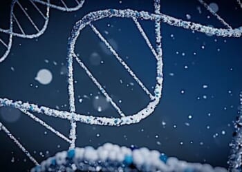 (Photo by Braňo on Unsplash)