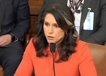 Director of National Intelligence Tulsi Gabbard (Video screenshot)