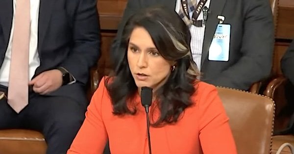 Director of National Intelligence Tulsi Gabbard (Video screenshot)