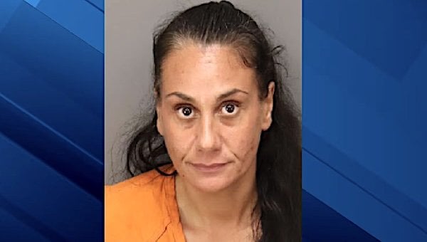 Desiree Doreen Segari (Pasco County Sheriffs Office)