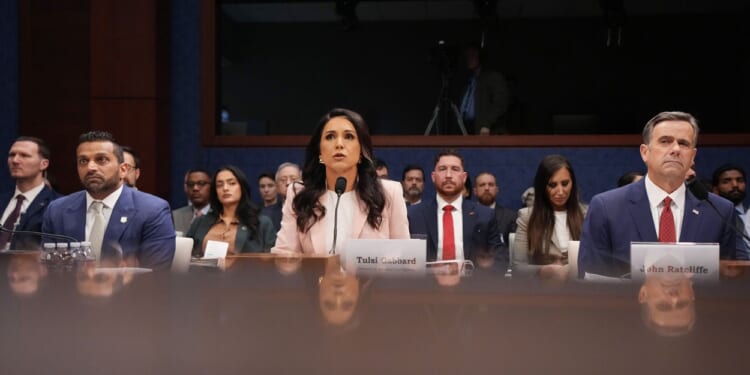 4 Big Takeaways from Tulsi Gabbard's Testimony