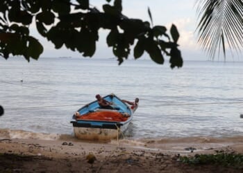 A Path to Defeating the Drug Cartels in Caribbean