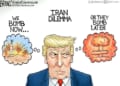 A time for choosing * WorldNetDaily * by A.F. Branco