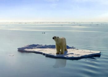 AGs raise alarms over federal grant * WorldNetDaily * by Fred Lucas, The Daily Signal