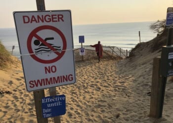 Bahamas 'Cocaine Sharks' Now Testing Positive for Cocaine and Caffeine – RedState