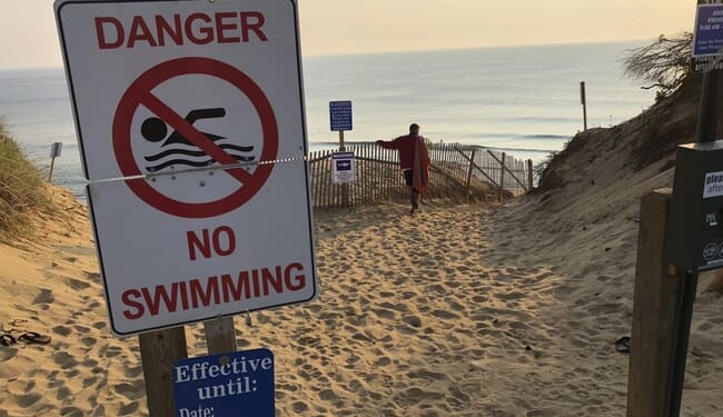 Bahamas 'Cocaine Sharks' Now Testing Positive for Cocaine and Caffeine – RedState