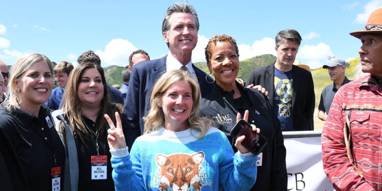 California's 'Butterfly' Bridge is Symbolic of Failed Leadership