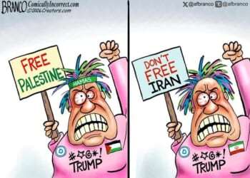 Conflicted * WorldNetDaily * by A.F. Branco