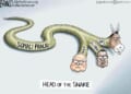 Creepy crawler * WorldNetDaily * by A.F. Branco