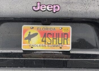 Florida passes voter ID bill as national SAVE Act stalls * WorldNetDaily * by Pedro Rodriguez, The Daily Signal