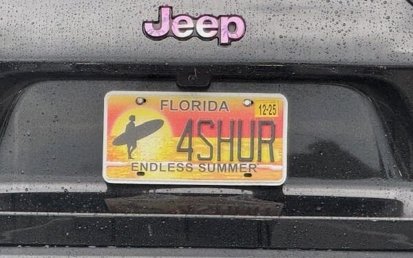 Florida passes voter ID bill as national SAVE Act stalls * WorldNetDaily * by Pedro Rodriguez, The Daily Signal