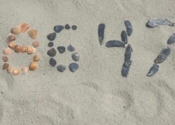 Former agent confirms FBI hirings under Comey had little basis in qualifications * WorldNetDaily * by Bob Unruh