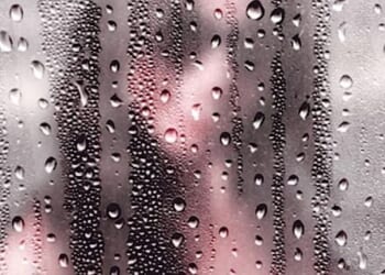 Huge Colorado school district thumbs nose at federal transgender regulations * WorldNetDaily * by Bob Unruh