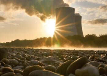 Is the 'net zero' climate agenda dead? Energy institute's consequential 2026 meeting * WorldNetDaily * by Neil Atkinson, Real Clear Wire