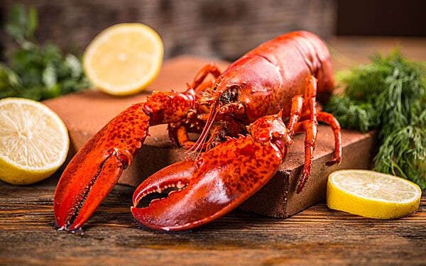 King crab, lobster tail cost taxpayers more than $80 million in a few months * WorldNetDaily * by Jeremy Portnoy, Real Clear Wire