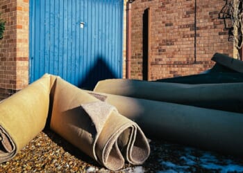 Maryland Loves My Ratty Old Rug More Than It Loves Me