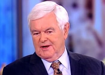 Newt Gingrich on ABC's 'The View' (Video screenshot)