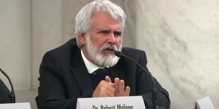 Revisiting COVID-19 'mass formation psychosis' * WorldNetDaily * by Hanne Nabintu Herland