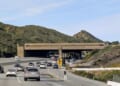 Ridiculous CA Wildlife Bridge Aims to Prevent Inbred Mountain Lions, but Will Be a Wildfire Express Lane – RedState