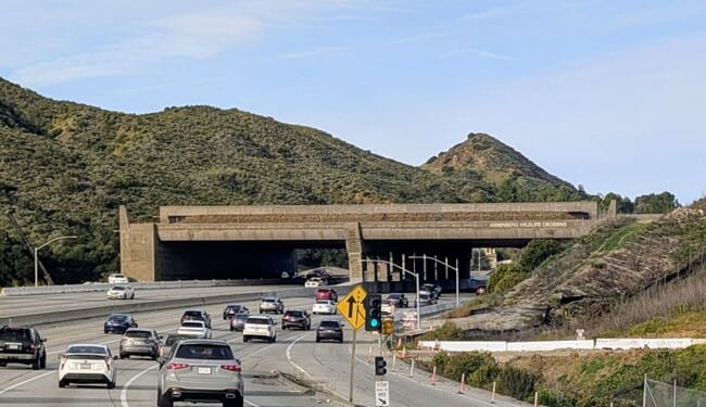 Ridiculous CA Wildlife Bridge Aims to Prevent Inbred Mountain Lions, but Will Be a Wildfire Express Lane – RedState