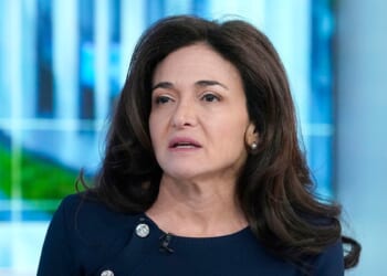 School Counselor Group Promotes Critical Race Theory Program