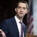 Tom Cotton Levels False CNN Story About the Strait of Hormuz With a Big Dose of Reality – RedState