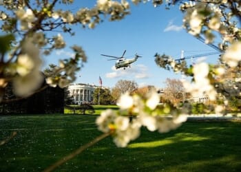 Trump shares letter from top Christian revealing 'only way to heaven' * WorldNetDaily * by Joe Kovacs