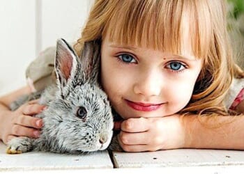 (Image by Anastasia Gepp from Pixabay)