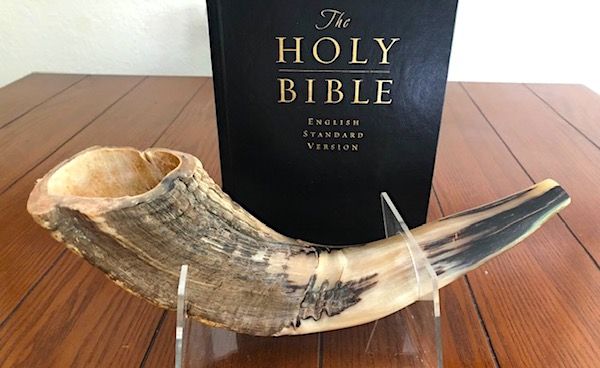 (Photo by Joe Kovacs)