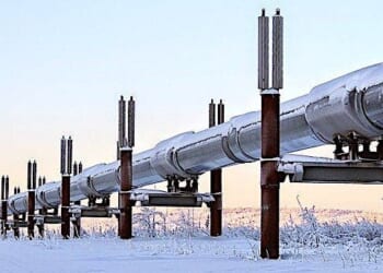 (Image by Robson Machado from Pixabay)