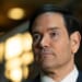 Barack Obama Gave Green Cards to 'Screaming Mary's' Family. Marco Rubio Just Had Them Arrested. – RedState